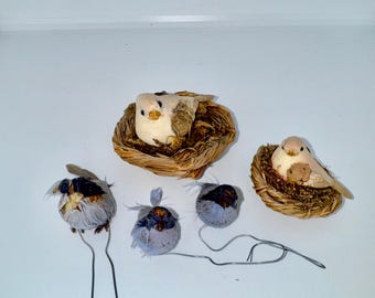 5 Assorted Birds for Crafting