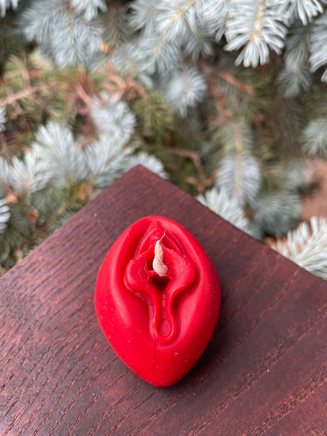 Red Womb Vagina Pussy C