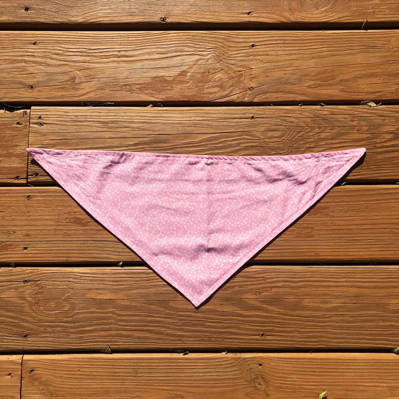The Spring Fling Bandana
