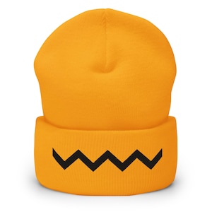 Zig Zag Embroidered Beanie: Peanuts Inspired Unisex Knit Cap