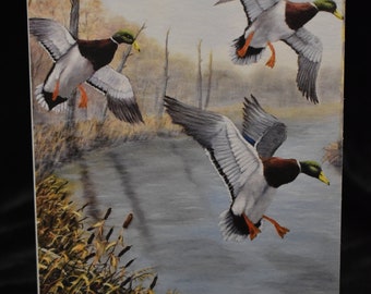 Mallards in Flight Blank Note card