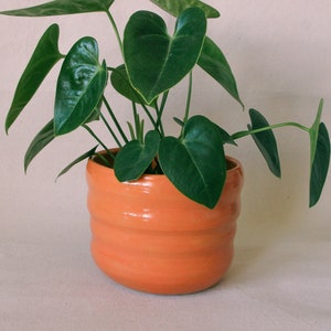 Orange Wavy Handmade Ceramic Plant Pot