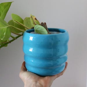 May include: A bright turquoise ceramic planter with a rounded, ribbed, or wavy horizontal texture along the exterior. The cylindrical pot features a glossy finish and contains a trailing green plant with heart-shaped leaves extending outward.