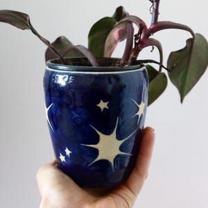 May include: A deep blue ceramic plant pot featuring a glossy finish and a hand-painted pattern of white stars in various sizes. The pot contains a small houseplant with dark purple and green leaves extending from the top opening.