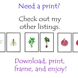 INSTANT DOWNLOAD - Romaine Calm Card, Romaine Calm and Carry On ...