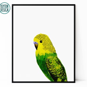 Druckbare Sittich Wandkunst, druckbare Budgie Wandkunst, digitale Sittich Kunst, digitale Budgie Kunst, grüne Sittich, grüne Budgie, Vogel-Wand-Kunst