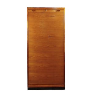 Vintage Teak Tambour Cabinet. Mid Century Danish File Archive Cabinet. Scandinavian minimalist design 1960s 70s