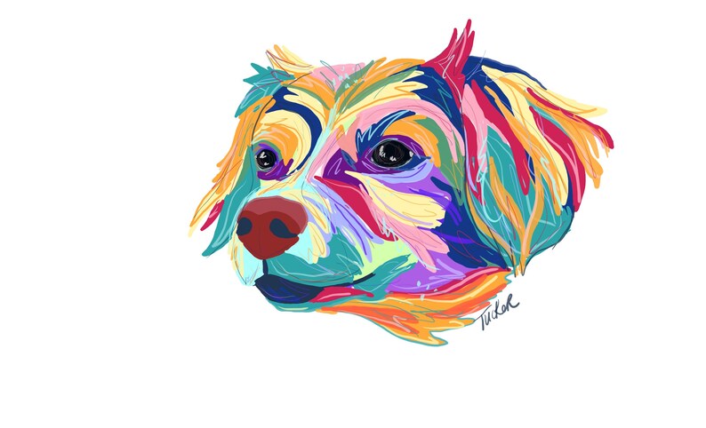 Pet Portrait Multicolored Illustration Portrait Dog Cat Bird Fish Animal Custom Artwork Digital