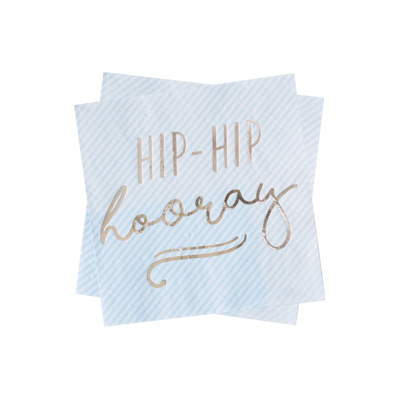 Gold Foiled Hip Hip Hooray Blue Paper Napkins Birthday Napkins Pastel Party Blue Party Decorations Blue Party Napkins