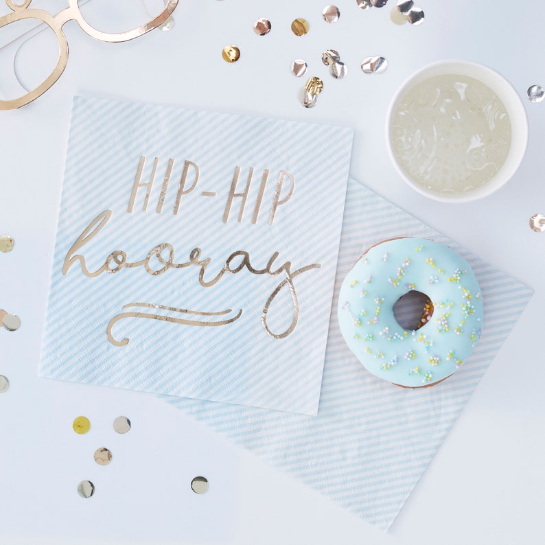 Gold Foiled Hip Hip Hooray Blue Paper Napkins Birthday Napkins Pastel Party Blue Party Decorations Blue Party Napkins
