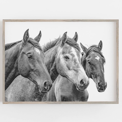 Horse Wall Art Black and White Art Downloadable Print Horse Etsy