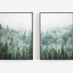 Puede incluir: Dos impresiones art&iacute;sticas enmarcadas que representan una escena de bosque brumoso. La obra de arte muestra un denso bosque de &aacute;rboles de hoja perenne en tonos verdes, con una capa de niebla que oscurece la parte superior de los &aacute;rboles. Los marcos son negros.