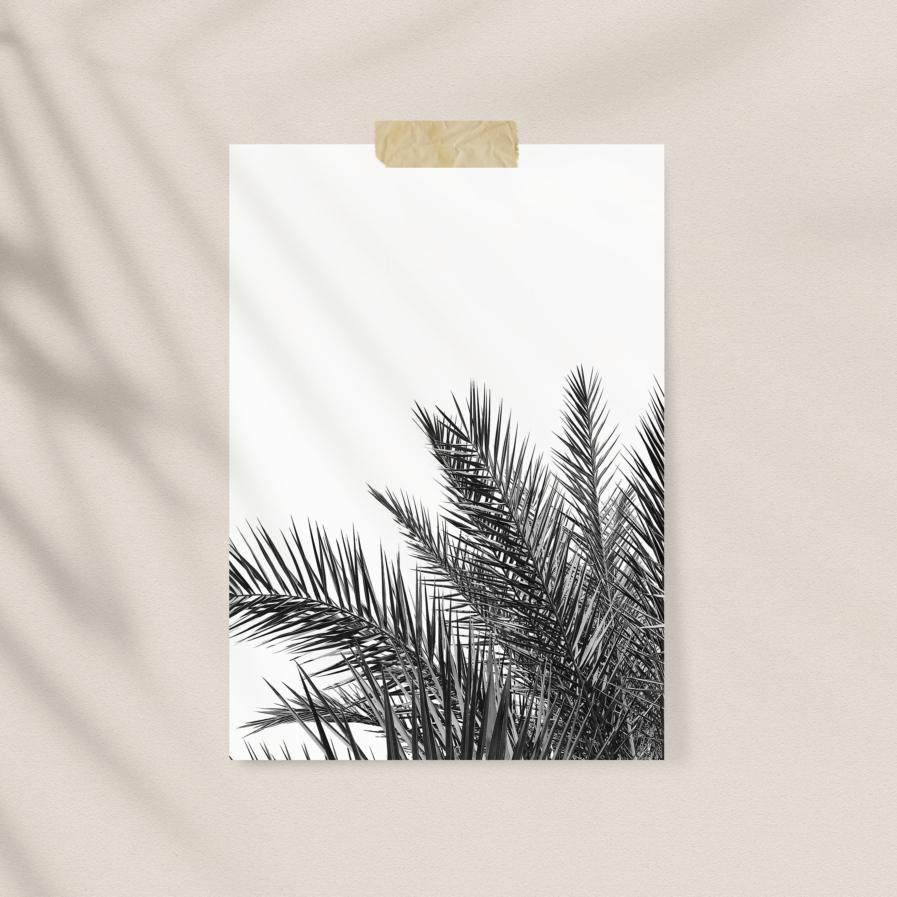 Palm Tree Wall Art Black and White Art Coastal Wall Decor | Etsy