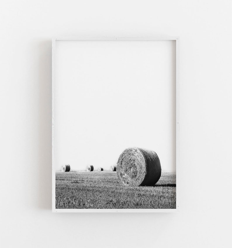 May include: Black and white photograph of a field with several hay bales. The foreground features a large, cylindrical hay bale, with others receding into the distance. The sky is bright and the field is filled with cut grass.