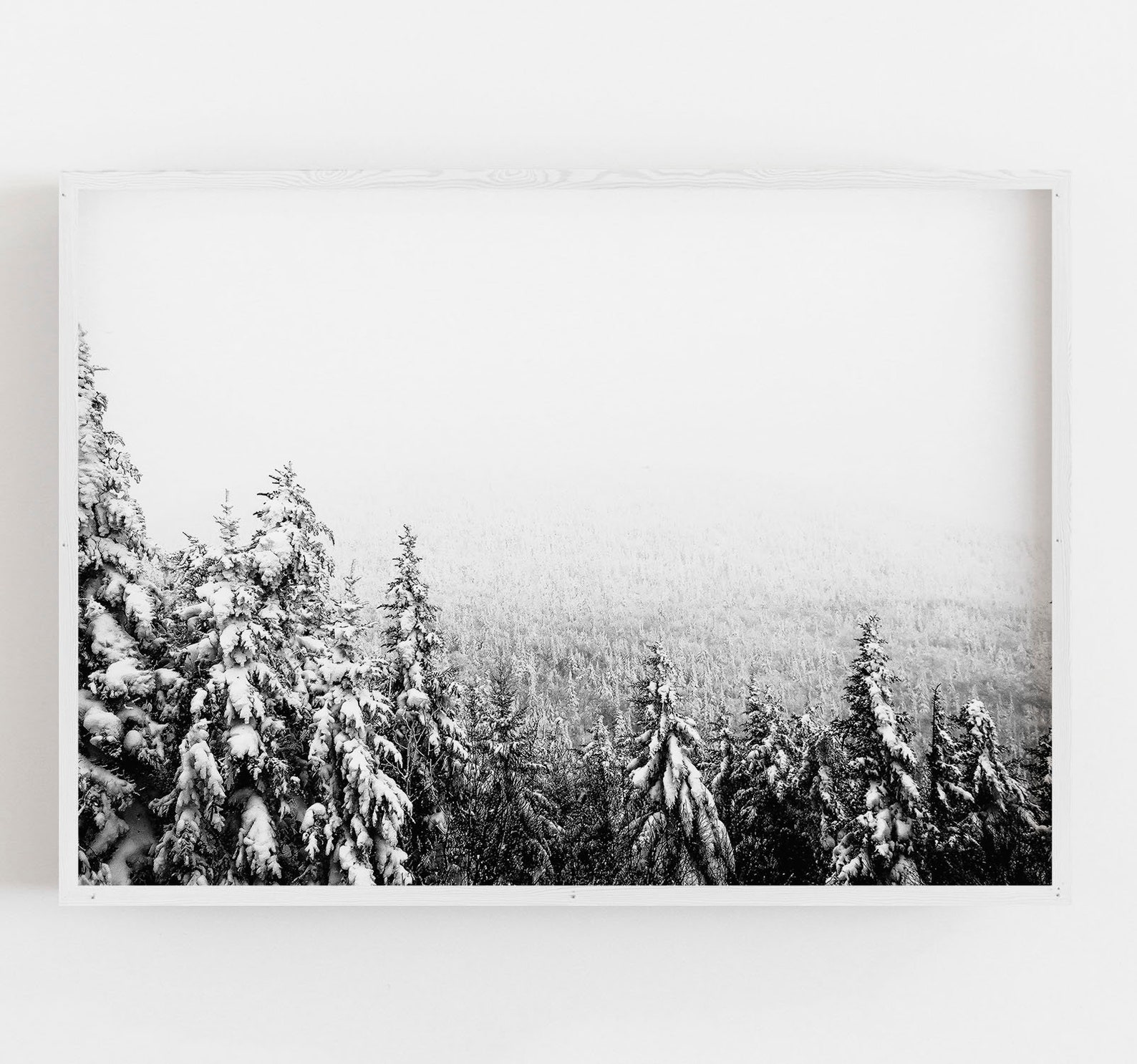 Winter Wall Art Black and White Art Snowy Trees Wall Art Etsy