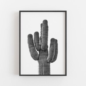 K&ouml;nnte beinhalten: Schwarz-Wei&szlig;-Druck mit Rahmen eines Saguaro-Kaktus. Der Kaktus mit seinen vielen Armen steht im Mittelpunkt. Das Bild ist eine kontrastreiche Fotografie, die die Textur und Details des Kaktus vor wei&szlig;em Hintergrund hervorhebt.