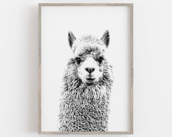 Llama Wall Art, Animal Wall Art, Black and White Art, Preppy Aesthetic, Trendy Wall Art, DIGITAL DOWNLOAD, PRINTABLE Wall Art, Large Art