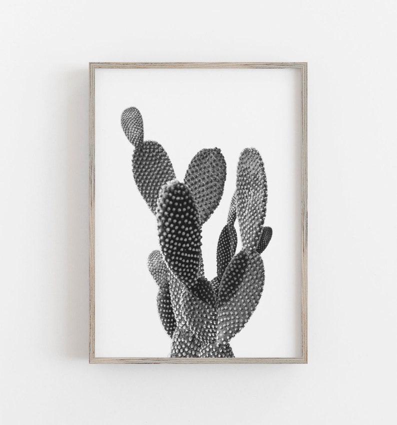 Cactus Wall Art Black and White Art Set of 2 Prints Cactus Etsy