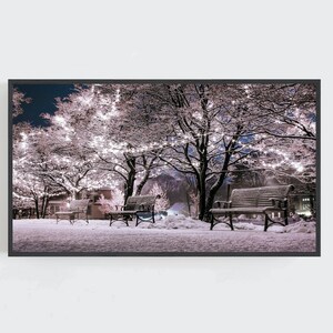 May include: A framed wall art print depicting a snowy park scene at night. Three dark metal benches sit on a snow-covered ground beneath large trees illuminated by strings of bright white lights, creating a festive and wintry atmosphere.