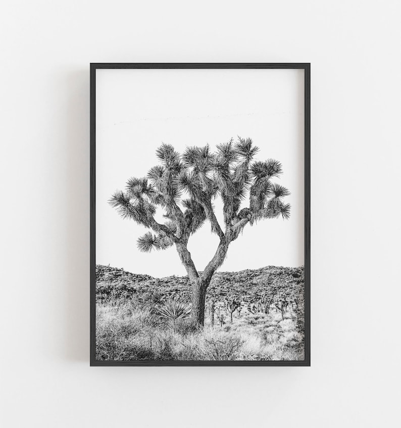 Joshua Tree Wall Art Black and White Art Desert Wall Art Etsy