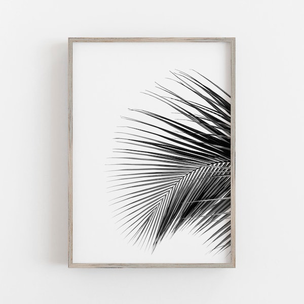 Large Black Palm Leaf Etsy