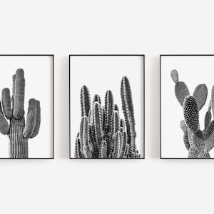 Kaktus Wandkunst, schwarz weiß Kunst, 3er Set Drucke, Kaktus Drucke, Boho Wanddekor, DIGITAL DOWNLOAD, DRUCKBARE Kunst, große Wandkunst