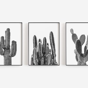 Cactus BLACK CANVAS Painting Kit