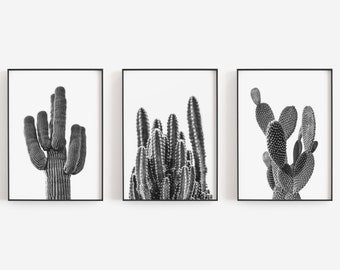 Cactus Wall Art, Black and White Art, Set of 3 Prints, Cactus Prints, Boho Wall Decor, DIGITAL DOWNLOAD, PRINTABLE Art, Large Wall Art