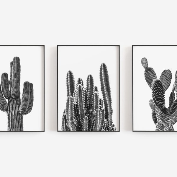 Cactus Wall Art, Black and White Art, Set of 3 Prints, Cactus Prints, Boho Wall Decor, DIGITAL DOWNLOAD, PRINTABLE Art, Large Wall Art