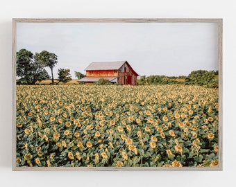 Sunflowers Wall Art, Farmhouse Wall Decor, Field of Sunflowers, Old Barn Art, Colorful, DIGITAL DOWNLOAD, PRINTABLE Wall Art, Large Wall Art