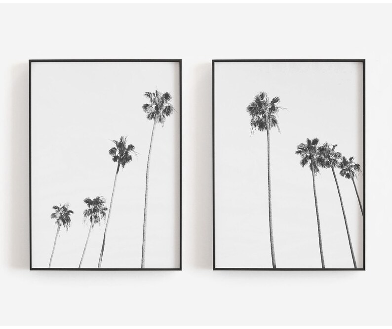Palm Trees Wall Art Black and White Art Coastal Wall Decor Etsy