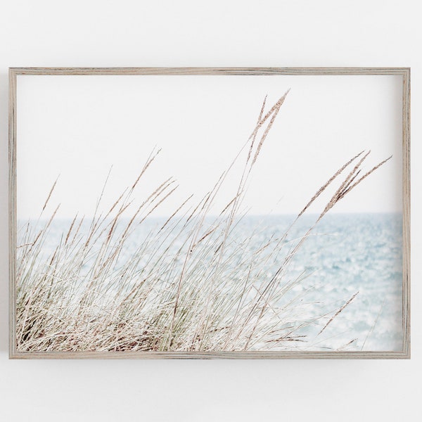 Seagrass Wall Art, Seagrass Print, Beach Wall Art, Minimalist Wall Art, Boho Wall Art, DIGITAL DOWNLOAD, PRINTABLE Art, Large Wall Art