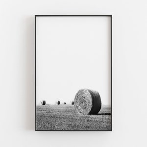 May include: Black and white framed print of a rural landscape. Several round hay bales are in a field of grass under a bright sky. The print is in a black frame.