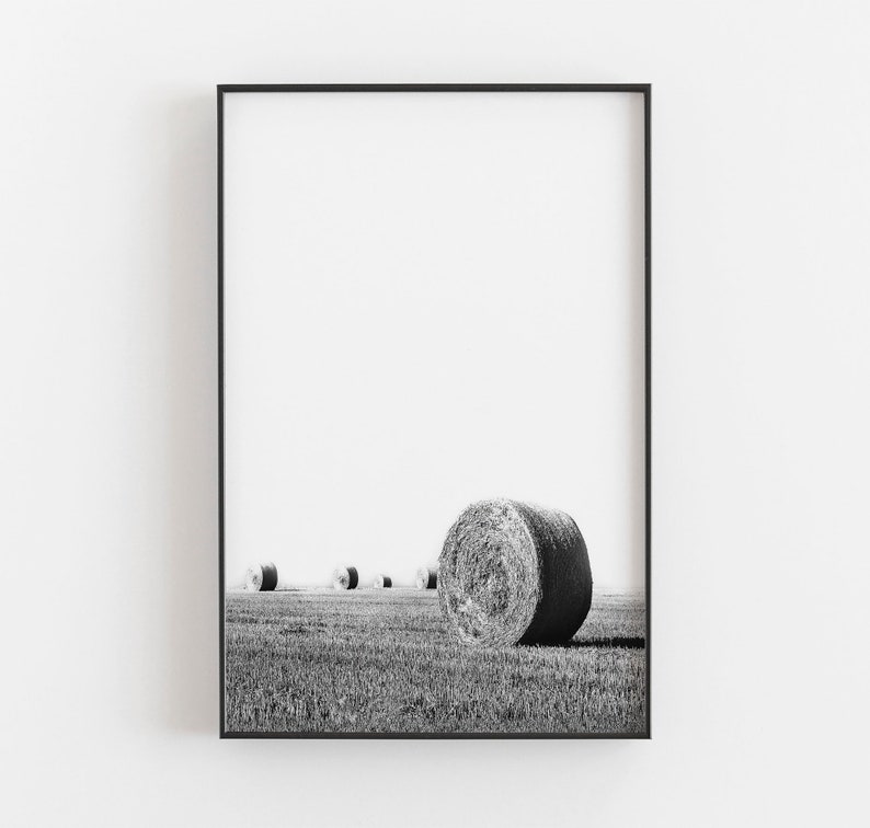 May include: Black and white framed print of a rural landscape. Several round hay bales are in a field of grass under a bright sky. The print is in a black frame.