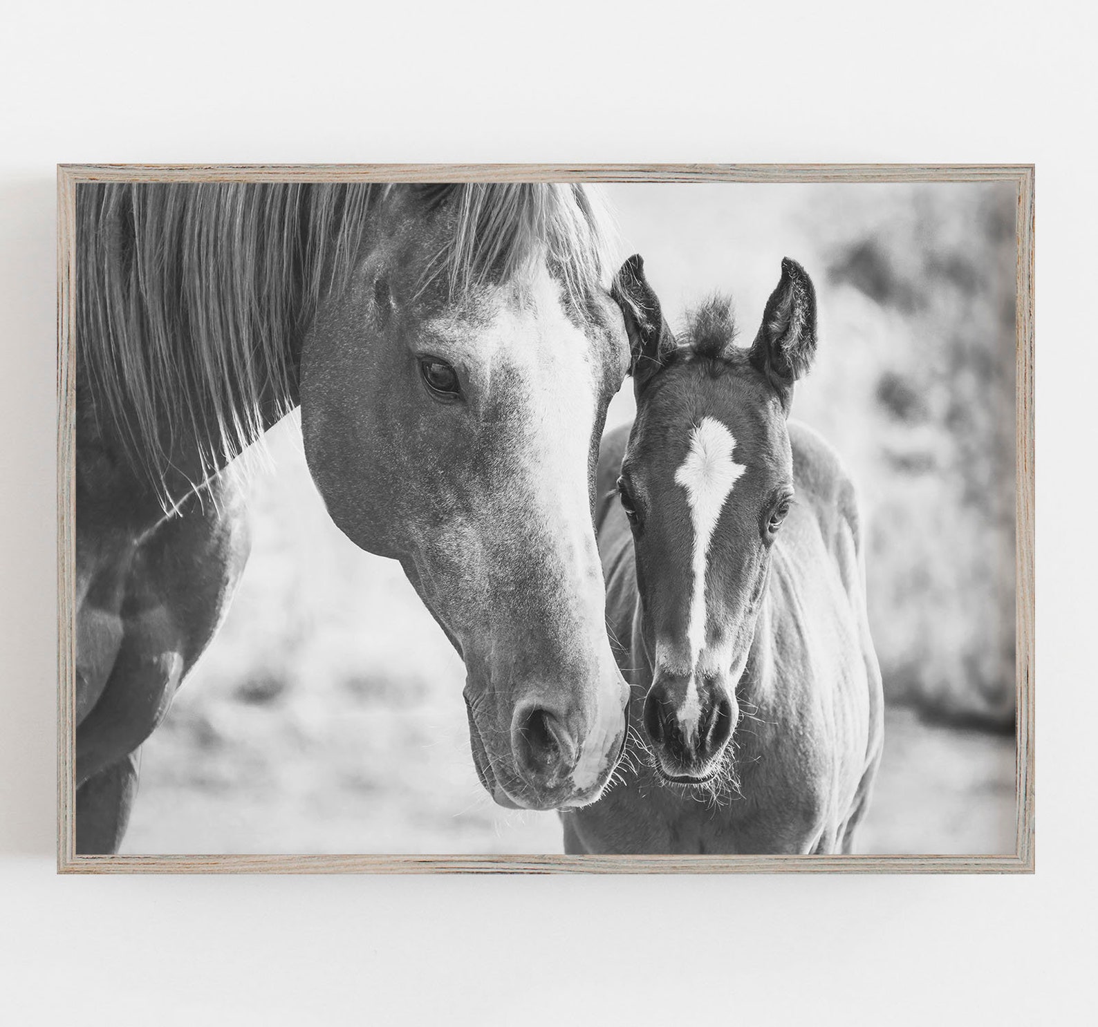 Horse Wall Art Black and White Art Horse and Foal Print Etsy