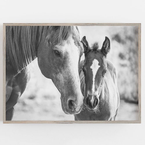 Horse Print White Horse Wall Art Black and White Minimalist Etsy