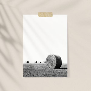 May include: Black and white photograph of a field with several round hay bales. The bales are in the foreground and background, with a bright white sky. The image is attached to a white surface with a piece of tan tape.