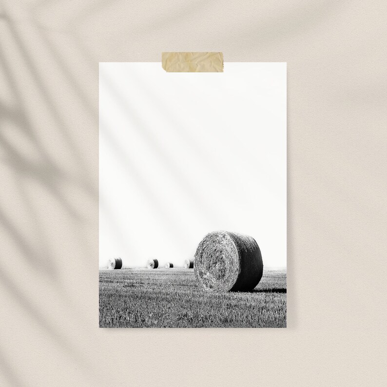 May include: Black and white photograph of a field with several round hay bales. The bales are in the foreground and background, with a bright white sky. The image is attached to a white surface with a piece of tan tape.