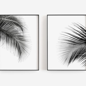 Puede incluir: Dos impresiones enmarcadas en blanco y negro de hojas de palmera sobre un fondo blanco.