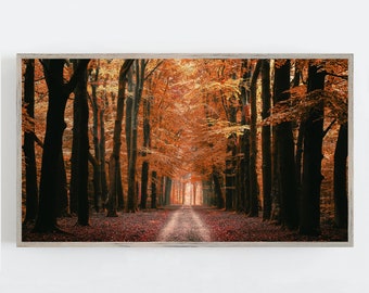 Autumn Frame TV Art, Autumn Trees Wall Art, Autumn Wall Decor, Fall Wall Decor, Nature Wall Art, Samsung Frame TV Art, Digital DOWNLOAD