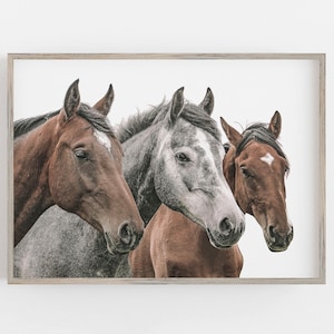 Horse Print, Horse Wall Art, Three Horses Print, Modern Farmhouse Art, Horse Photography, DIGITAL DOWNLOAD, PRINTABLE Art, Large Wall Art