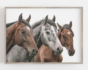 Impresión de tres caballos: Arte mural moderno de estilo rústico (descarga digital)