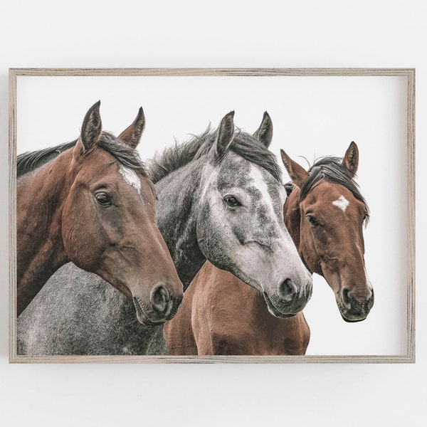 Horse Print, Horse Wall Art, Three Horses Print, Modern Farmhouse Art, Horse Photography, DIGITAL DOWNLOAD, PRINTABLE Art, Large Wall Art