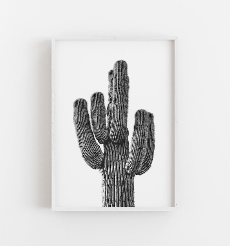 K&ouml;nnte beinhalten: Schwarz-Wei&szlig;-Druck eines Saguaro-Kaktus in einem Rahmen. Der Kaktus mit seinen vielen Armen steht im Mittelpunkt. Das Bild ist eine kontrastreiche Fotografie, die die Textur und Form der Pflanze vor wei&szlig;em Hintergrund hervorhebt.