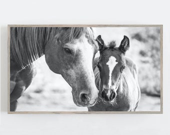 Samsung Frame TV Art, Arte en blanco y negro, Arte de pared de caballo, Decoración moderna de granja, Arte de caballos y potros, DESCARGA DIGITAL, Arte digital para TV