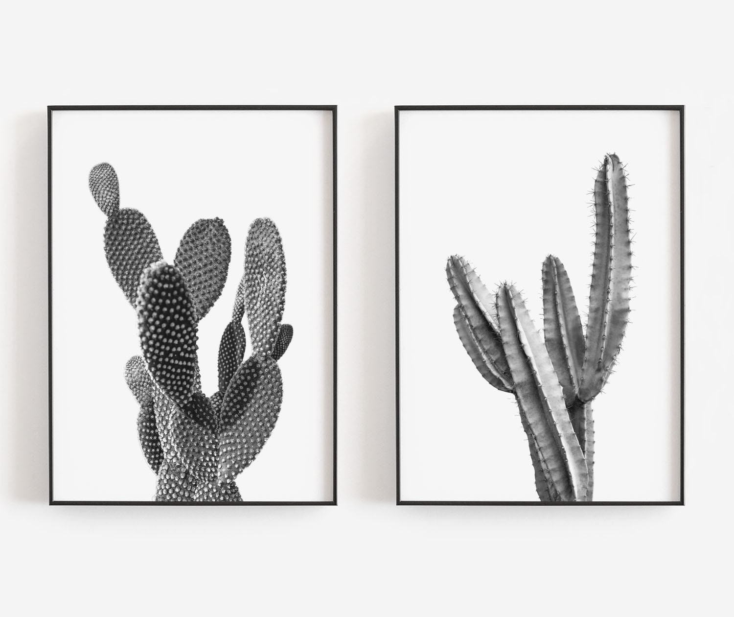 Cactus Wall Art Black and White Art Set of 2 Prints Cactus Etsy