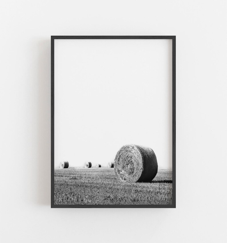 May include: Black and white framed print featuring a field with several hay bales. The foreground shows a large, round hay bale, with others receding into the distance. The print is in a black frame, set against a white background.