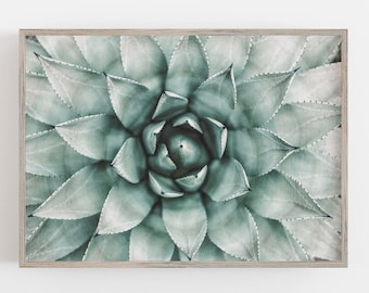 Succulent Plant Art, Green Plant Art, Botanical Wall Art, Trendy Wall Art, Boho Vibes, DIGITAL DOWNLOAD, PRINTABLE Wall Art, Large Wall Art