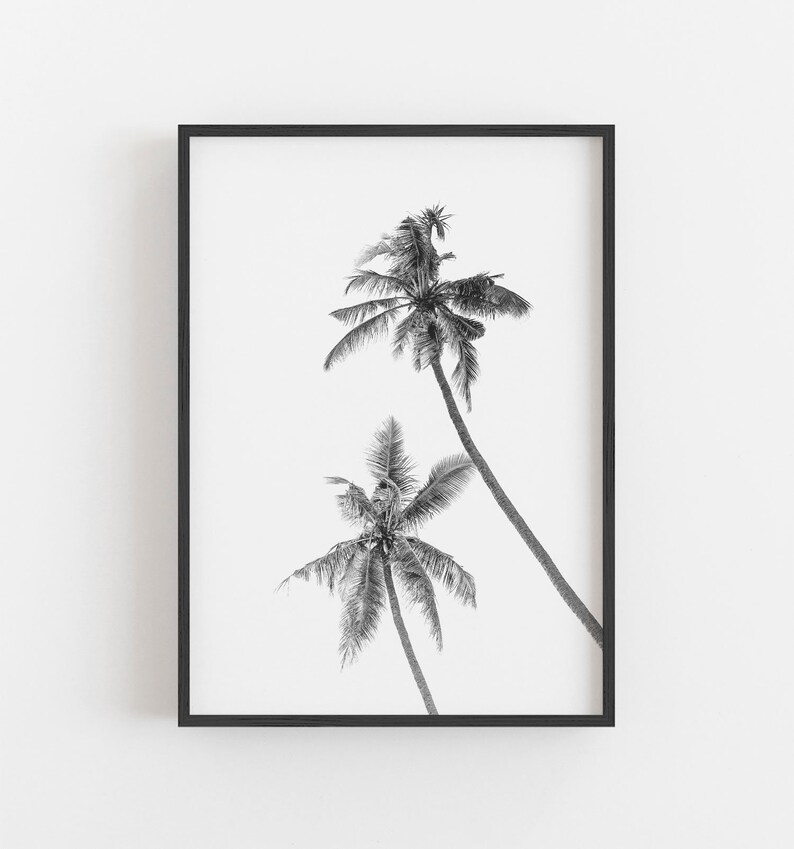 Palm Trees Wall Art Black and White Art California Art Etsy