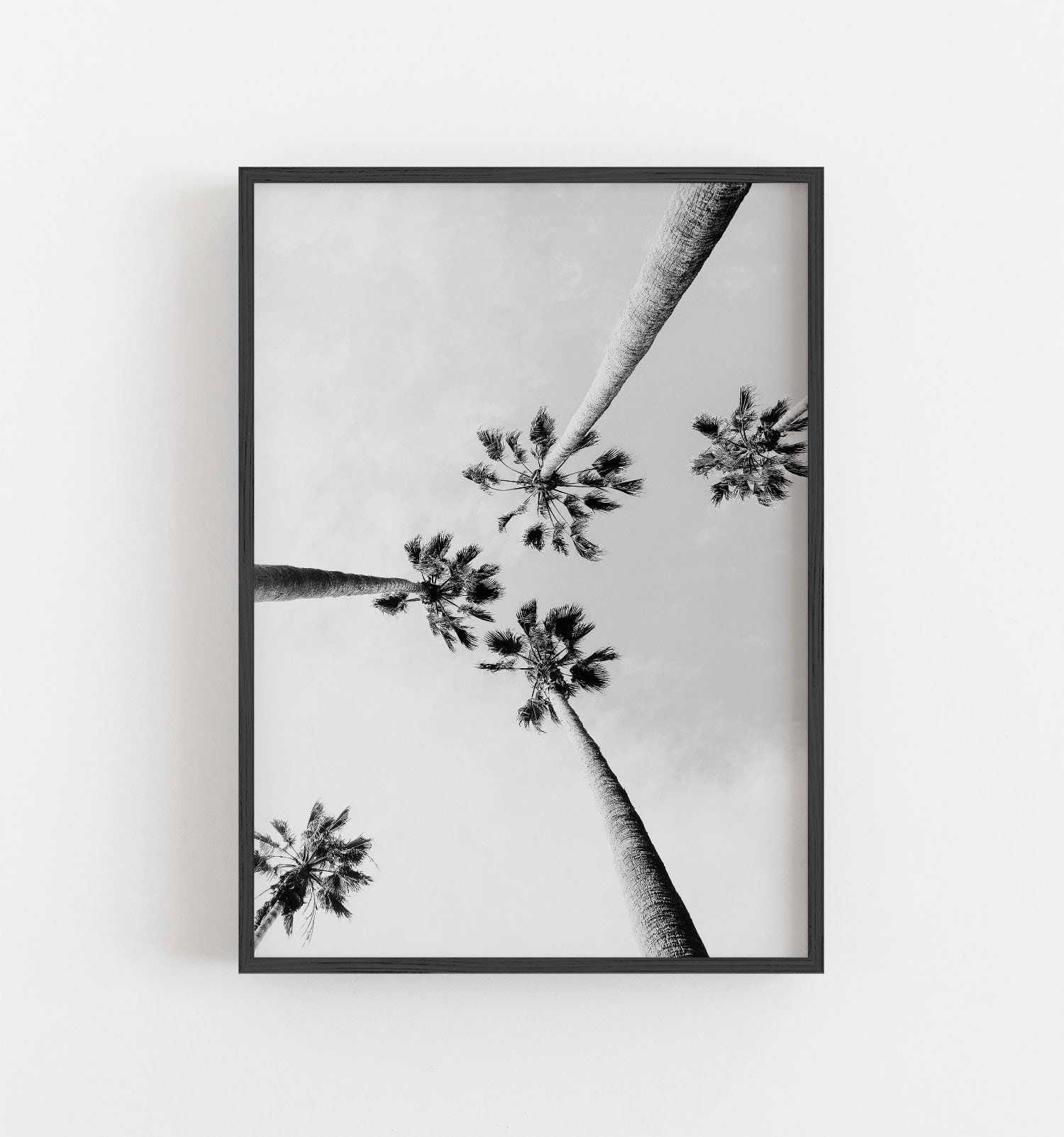 Palm Trees Wall Art Black and White Art Coastal Wall Decor Etsy